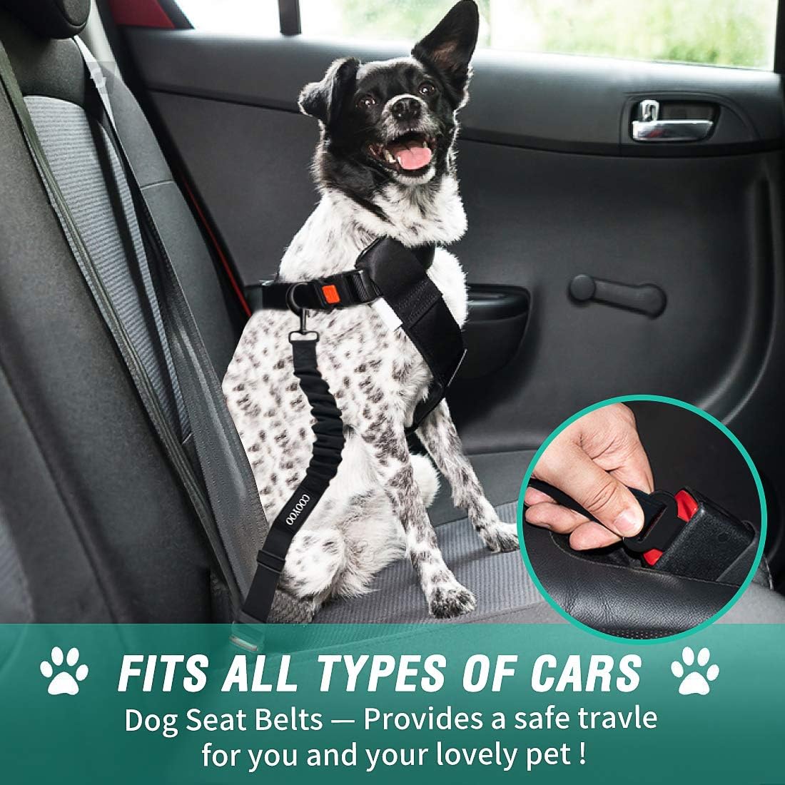 Retractable Dog Car Seat Belt (Heavy Duty With Elastic Bungee Buffer)