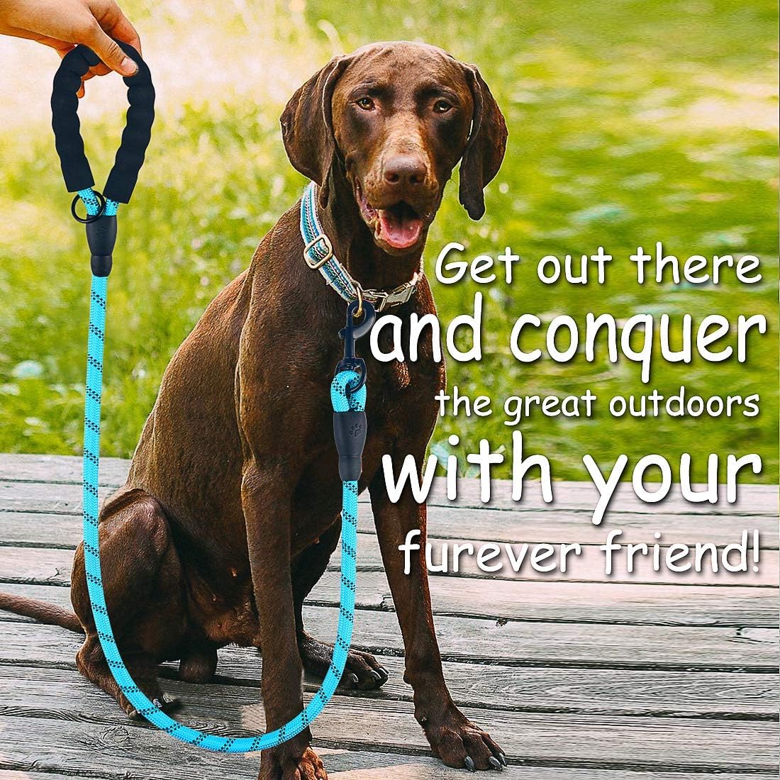 Durable Reflective Nylon Rope Dog Leash - 2 Pack with Collapsible Pet Bowl & Garbage Bags