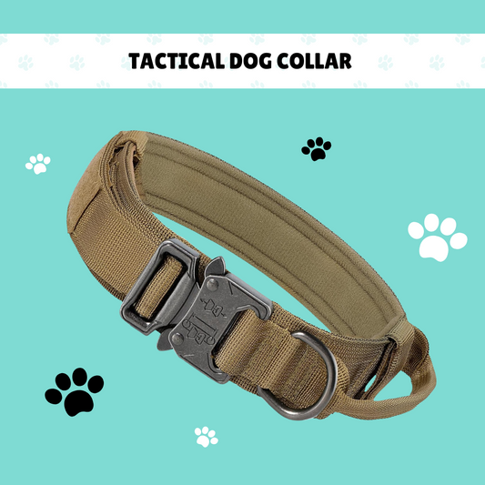 Adjustable Tactical Dog Collar with Handle