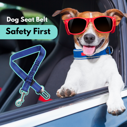 Retractable Dog Car Seat Belt (Heavy Duty With Elastic Bungee Buffer)